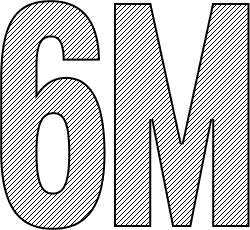6M