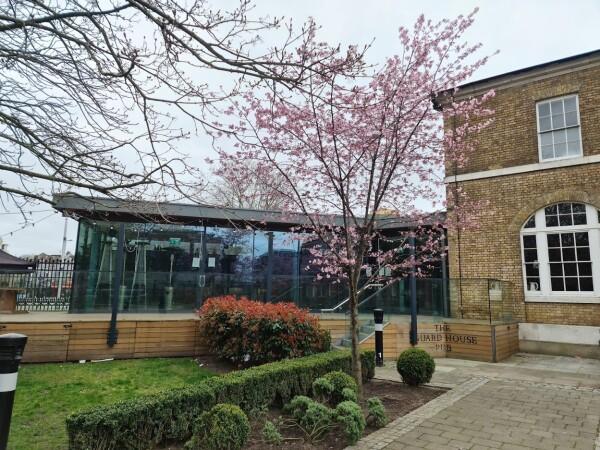 Best Sports Bars in London - Guard House