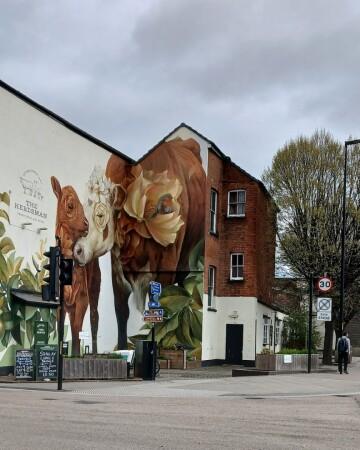 Best Sports Bars in Hereford - The Herdsman