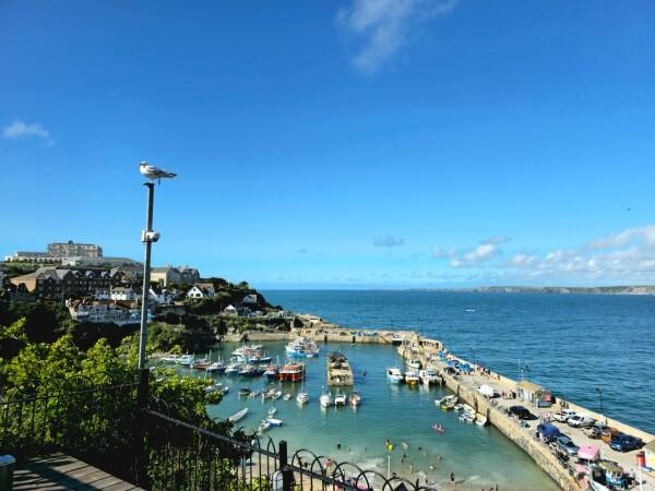 Best Sports Bars in Newquay - Fort Inn