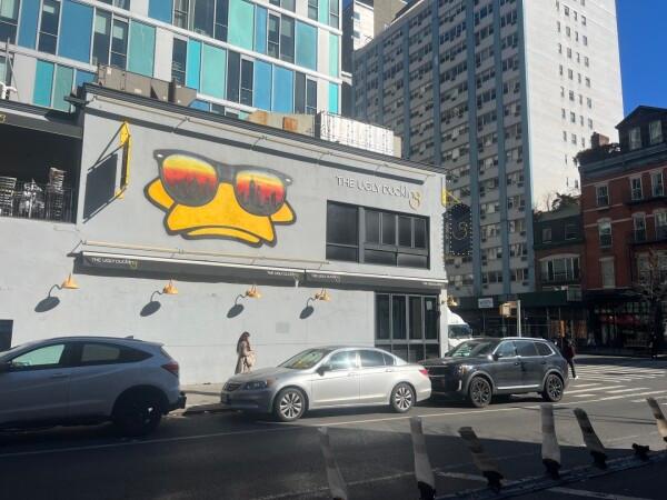 Best Sports Bars in New York - Ugly Duckling @ New York
