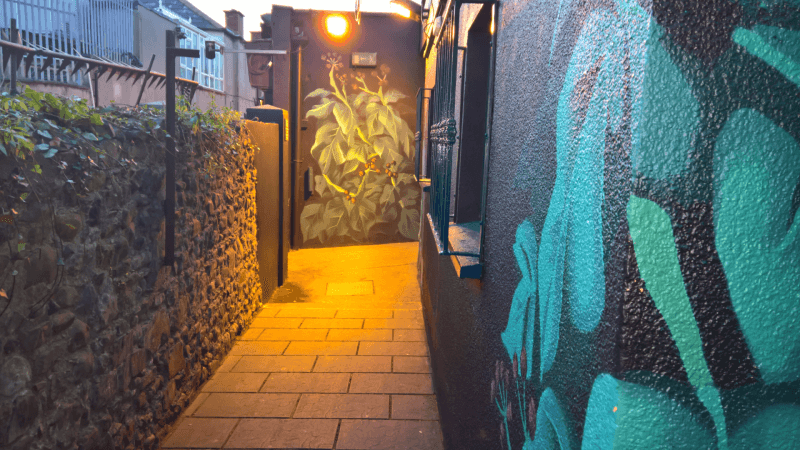 Best Sports Bars in Dublin - The Ivy House