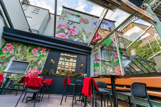 Best Sports Bars in Dublin - Harcourt Bar & Garden Lounge