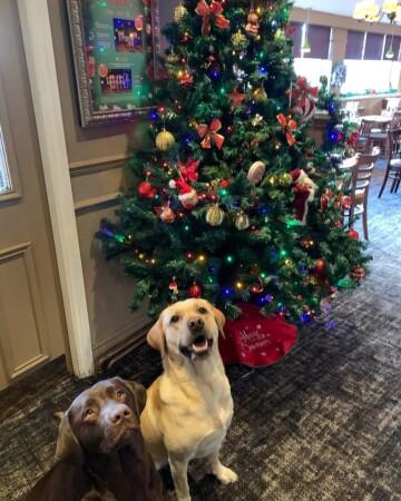 Best Sports Bars in Sunderland - New Derby (Sunderland)