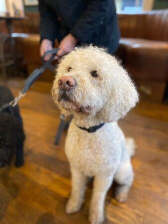 Best Sports Bars in Worthing - Thieves' Kitchen (Worthing)