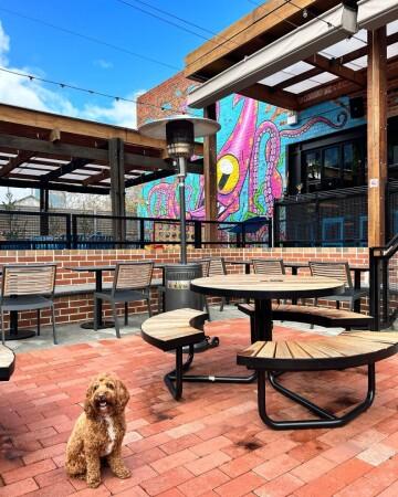 Best Sports Bars in West Perth - Brewdog Perth