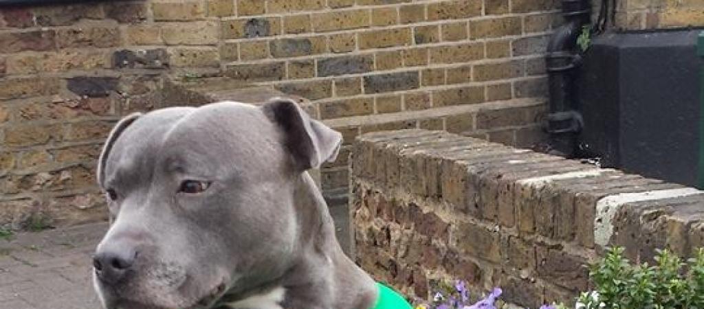 Best Sports Bars in Watford - Railway Arms