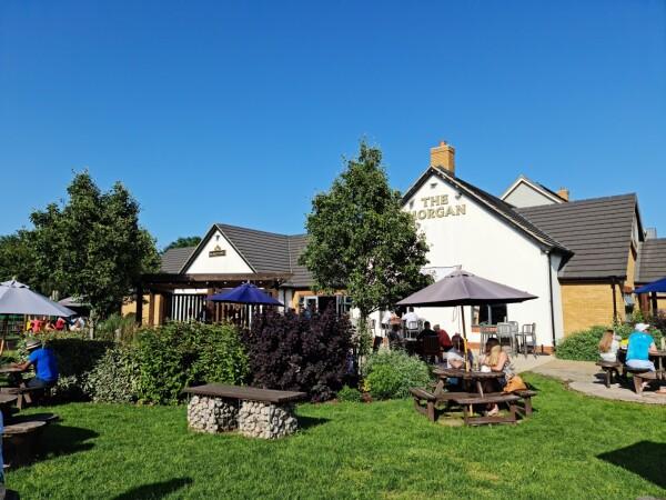 Best Sports Bars in Belvedere - Morgan