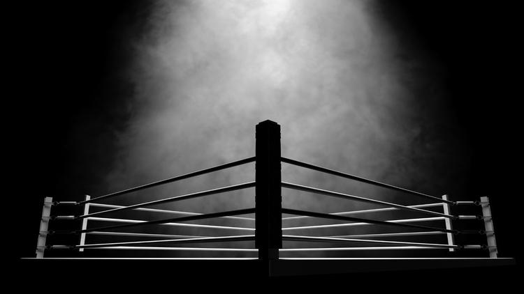 Want to watch other boxers? All the upcoming Boxing fights are just here! 