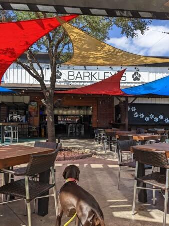 Best Sports Bars in Houston - BARKLEY'S